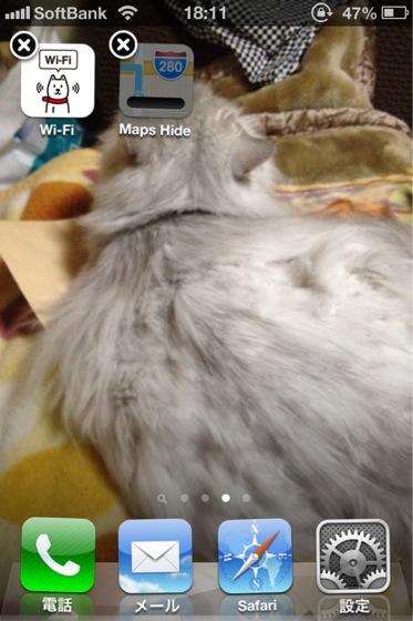 Applemap icon del 20121215 19