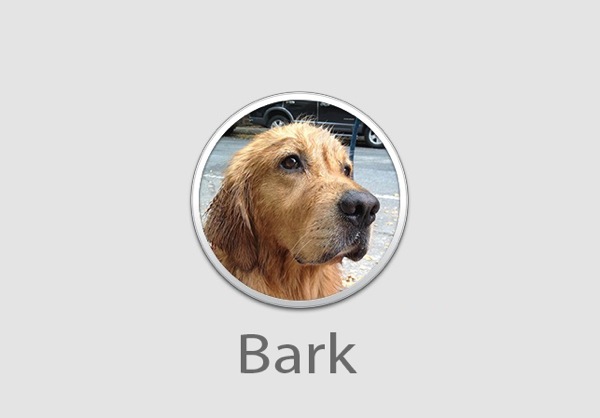Bark 20120904 1