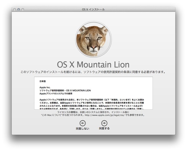 Mountain lion 201207262151 006