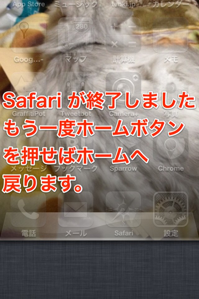 Safari bousou 20120929 10